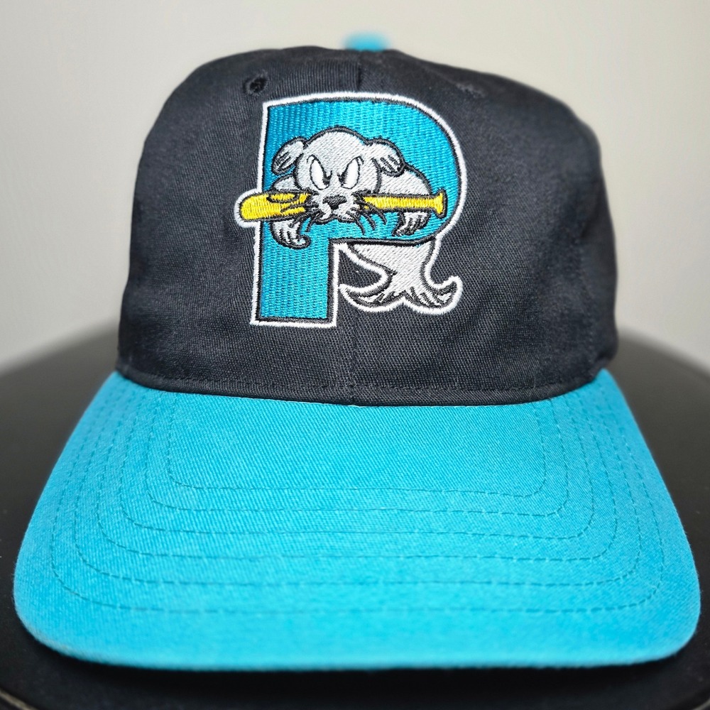 Portland SeaDogs Two-Tone Twins Vintage MILB Baseball Snapback Hat